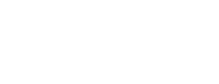 FH Automotores